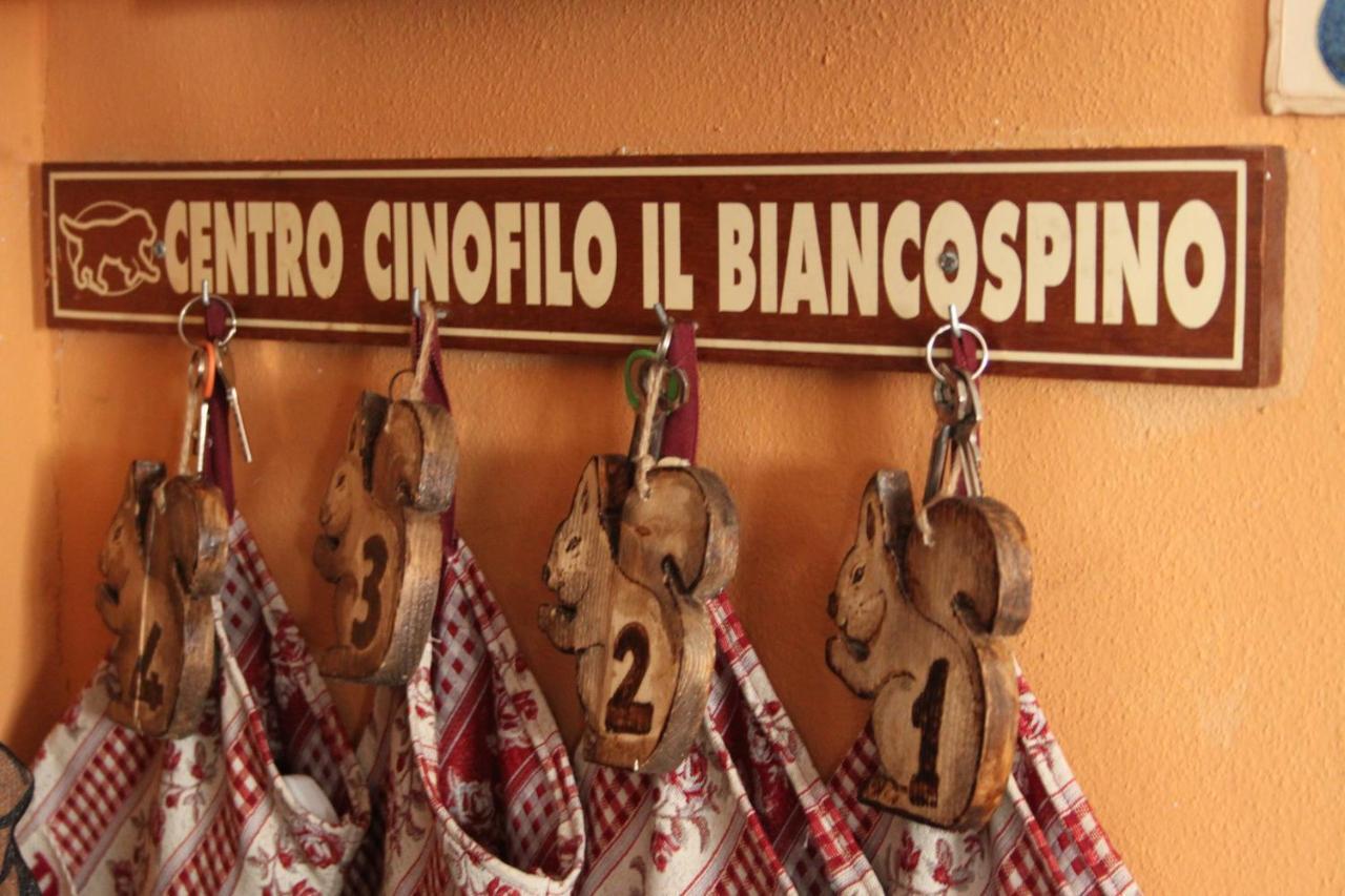 Casteggio Il Biancospinoヴィラ エクステリア 写真